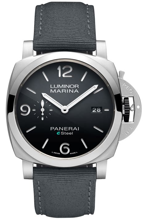 ww panerai watch care